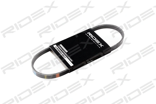 V-Ribbed Belt (305P0167)