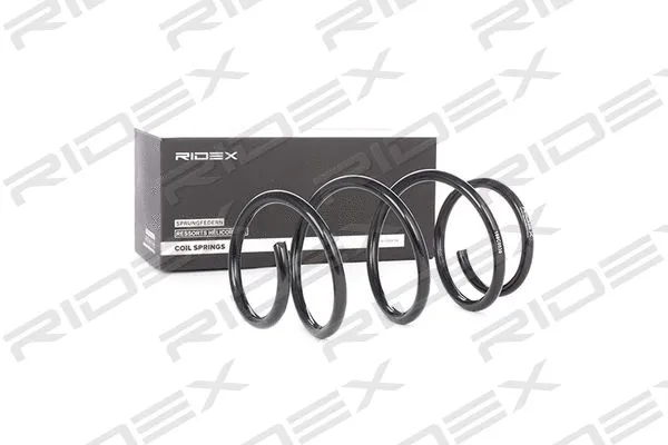 Suspension Spring (188C0030)