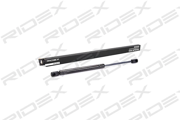 Gas Spring, boot/cargo area (219G0037)