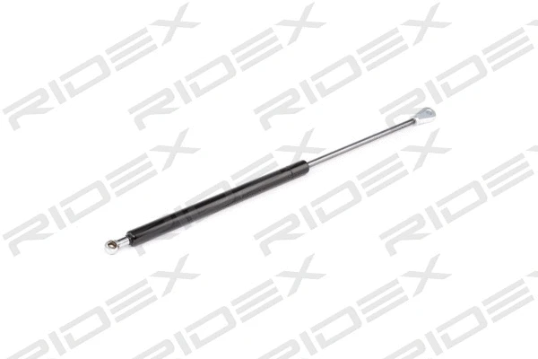 Gas Spring, boot/cargo area (219G0605)