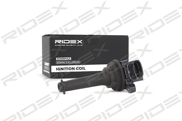Ignition Coil (689C0004)