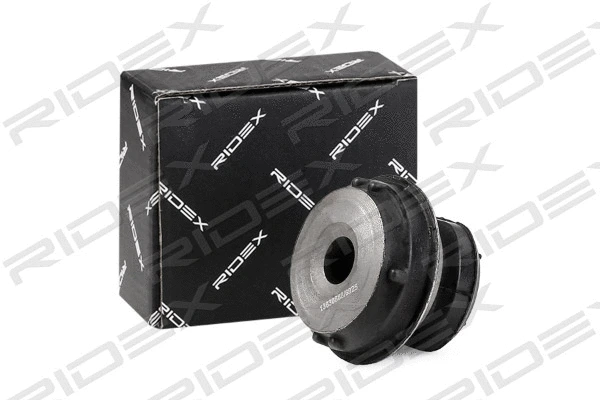 Mounting, control/trailing arm