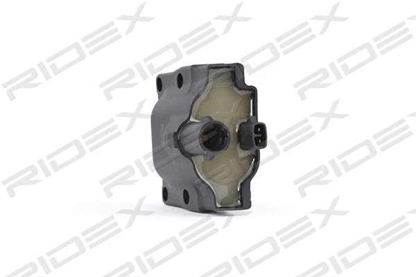 Ignition Coil (689C0200)