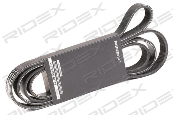 V-Ribbed Belt (305P0101)