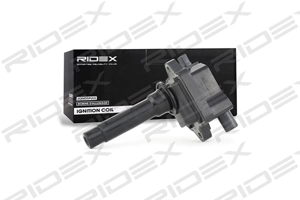 Ignition Coil (689C0273)