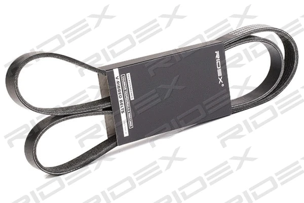 V-Ribbed Belt (305P0067)