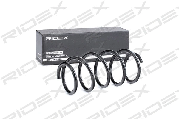 Suspension Spring (188C0463)