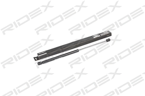 Gas Spring, boot/cargo area (219G0055)