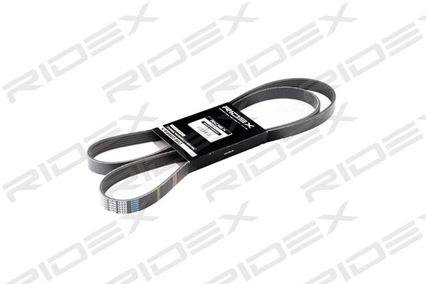 V-Ribbed Belt (305P0146)