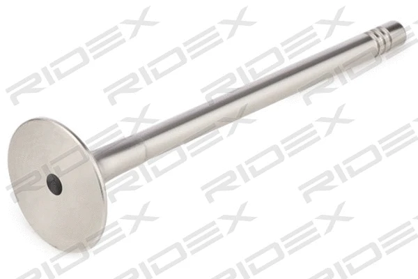 Exhaust Valve