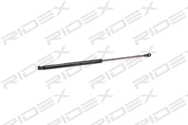 Gas Spring, boot/cargo area (219G0512)