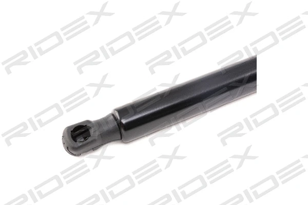 Gas Spring, boot/cargo area (219G0577)