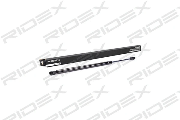 Gas Spring, boot/cargo area (219G0066)
