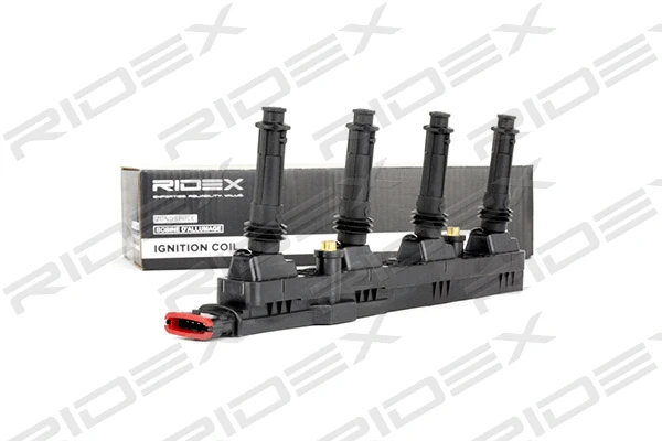 Ignition Coil (689C0248)