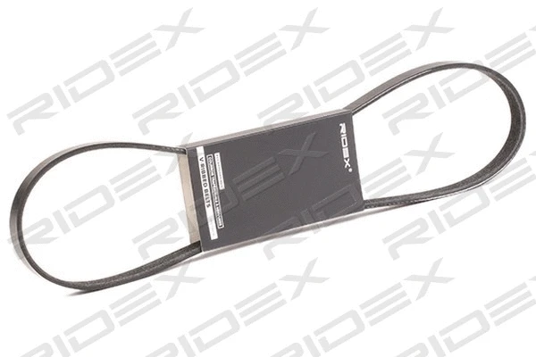 V-Ribbed Belt (305P0369)