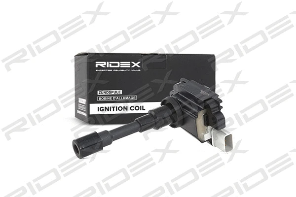 Ignition Coil (689C0039)