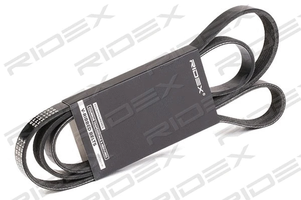 V-Ribbed Belt (305P0171)