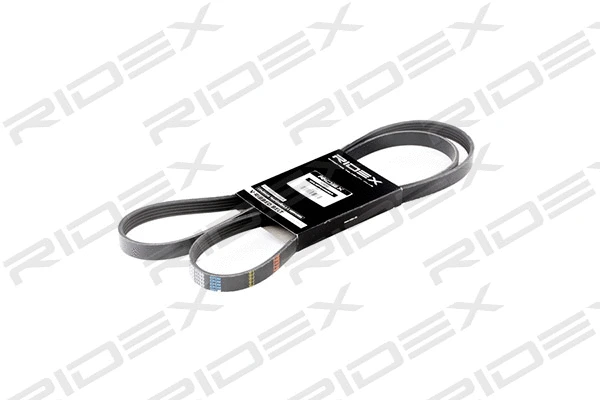 V-Ribbed Belt (305P0043)