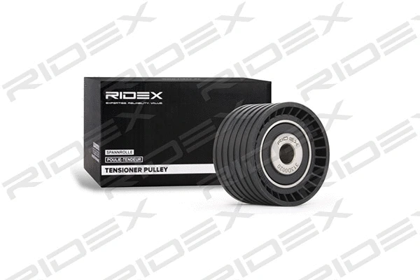 Deflection/Guide Pulley, timing belt (313D0020)