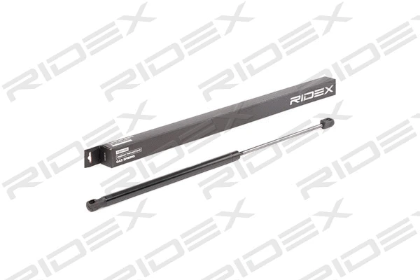 Gas Spring, boot/cargo area (219G0769)