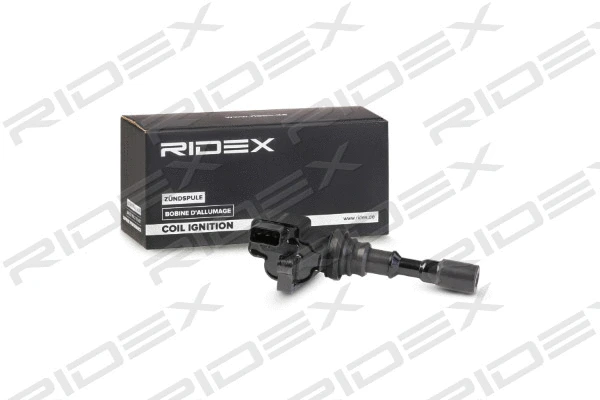 Ignition Coil (689C0317)