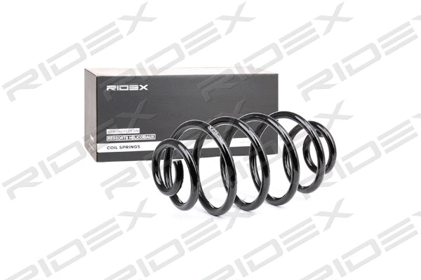 Suspension Spring