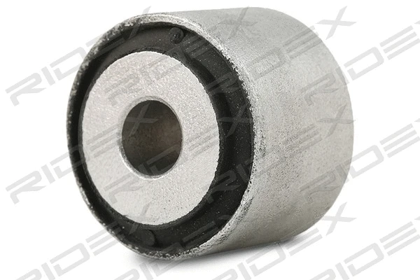 Mounting, axle strut