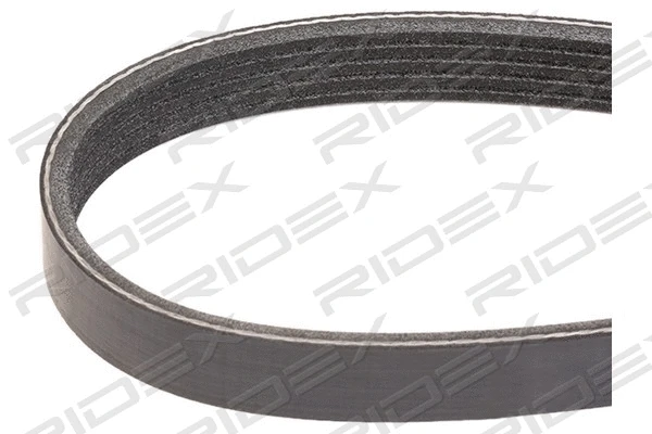 V-Ribbed Belt (305P0321)
