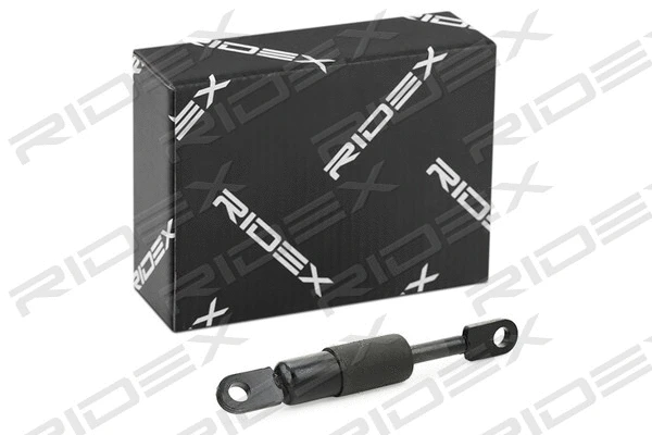 Gas Spring, boot/cargo area