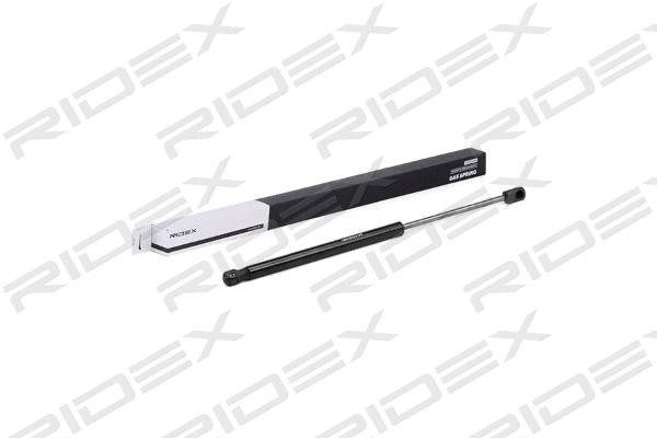 Gas Spring, boot/cargo area (219G0505)
