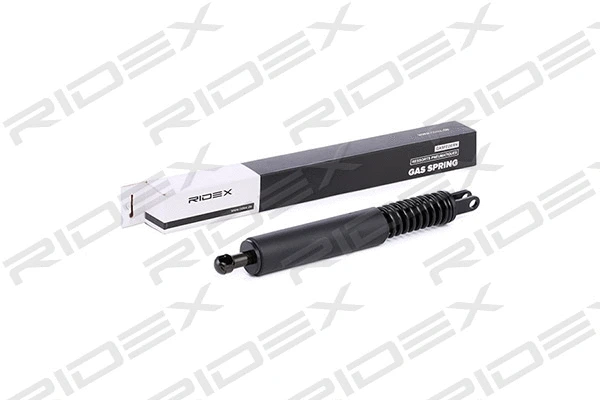 Gas Spring, boot/cargo area (219G0068)