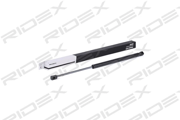 Gas Spring, boot/cargo area