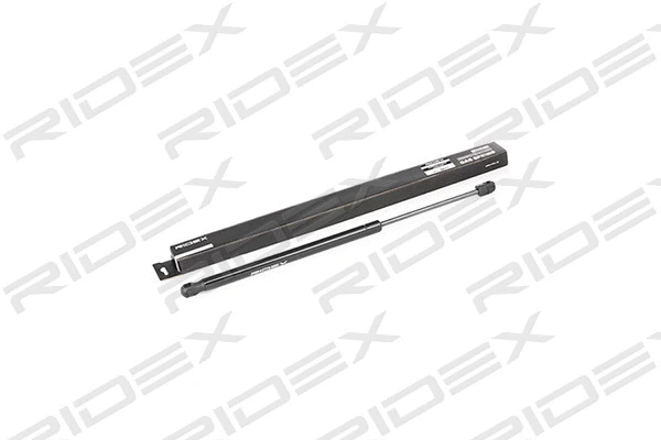Gas Spring, boot/cargo area (219G0250)