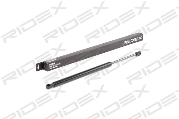 Gas Spring, boot/cargo area