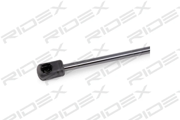 Gas Spring, boot/cargo area (219G0261)