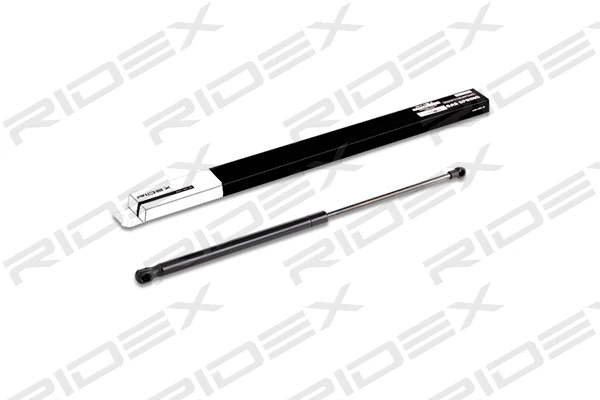 Gas Spring, boot/cargo area (219G0348)