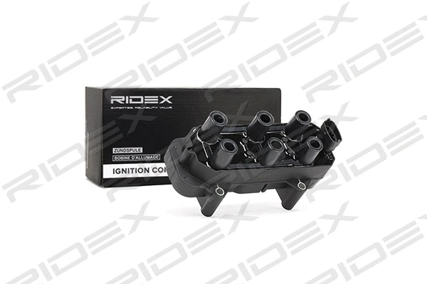 Ignition Coil (689C0267)