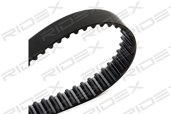 Timing Belt Kit (307T0251)