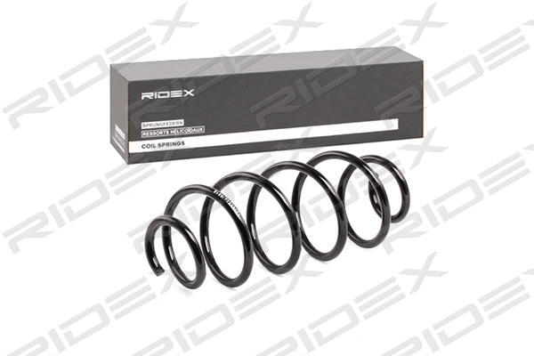 Suspension Spring (188C0556)