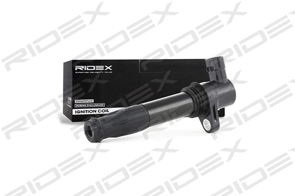 Ignition Coil (689C0260)