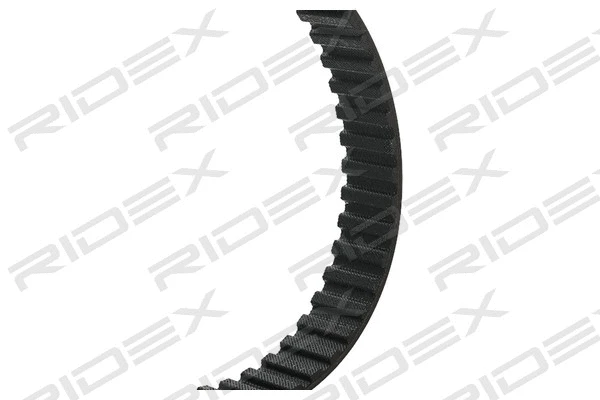 Timing Belt