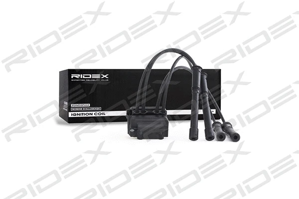 Ignition Coil (689C0043)