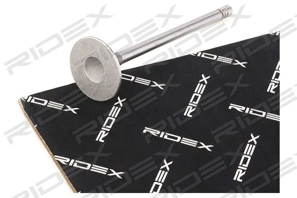 Intake Valve (1269I0015)