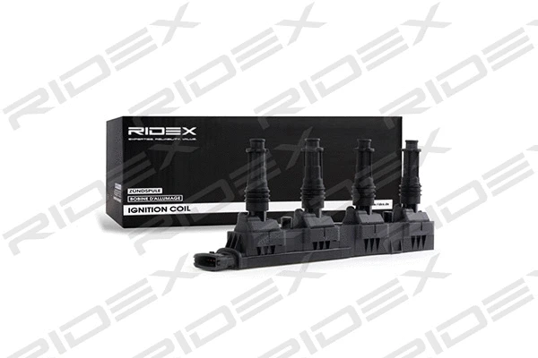Ignition Coil (689C0165)