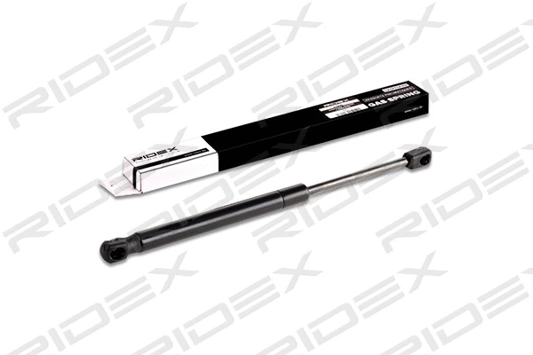 Gas Spring, boot/cargo area (219G0076)