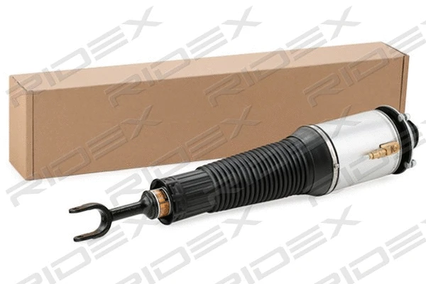 Air Suspension Strut (4118A0029)