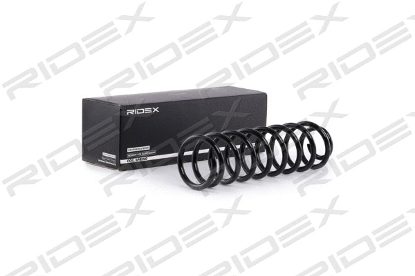 Suspension Spring (188C0496)
