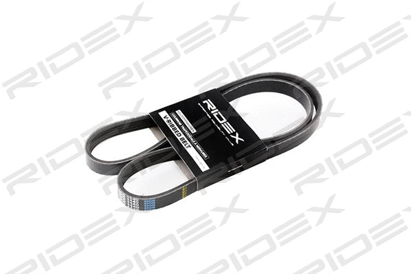 V-Ribbed Belt (305P0035)