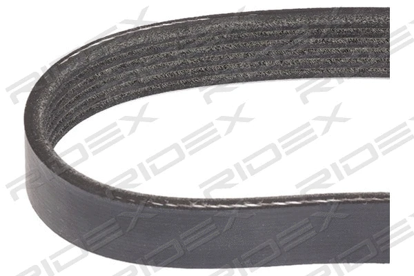 V-Ribbed Belt (305P0086)