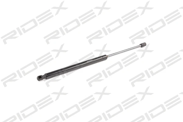 Gas Spring, boot/cargo area (219G0504)